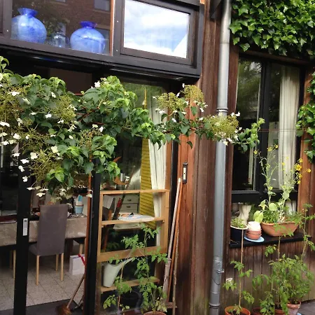 Duplex Zen * Liege