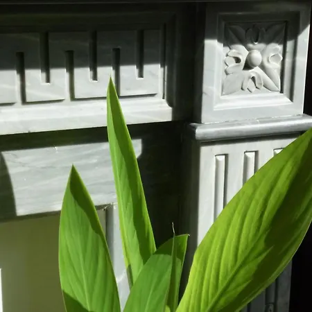 Duplex Zen Liege